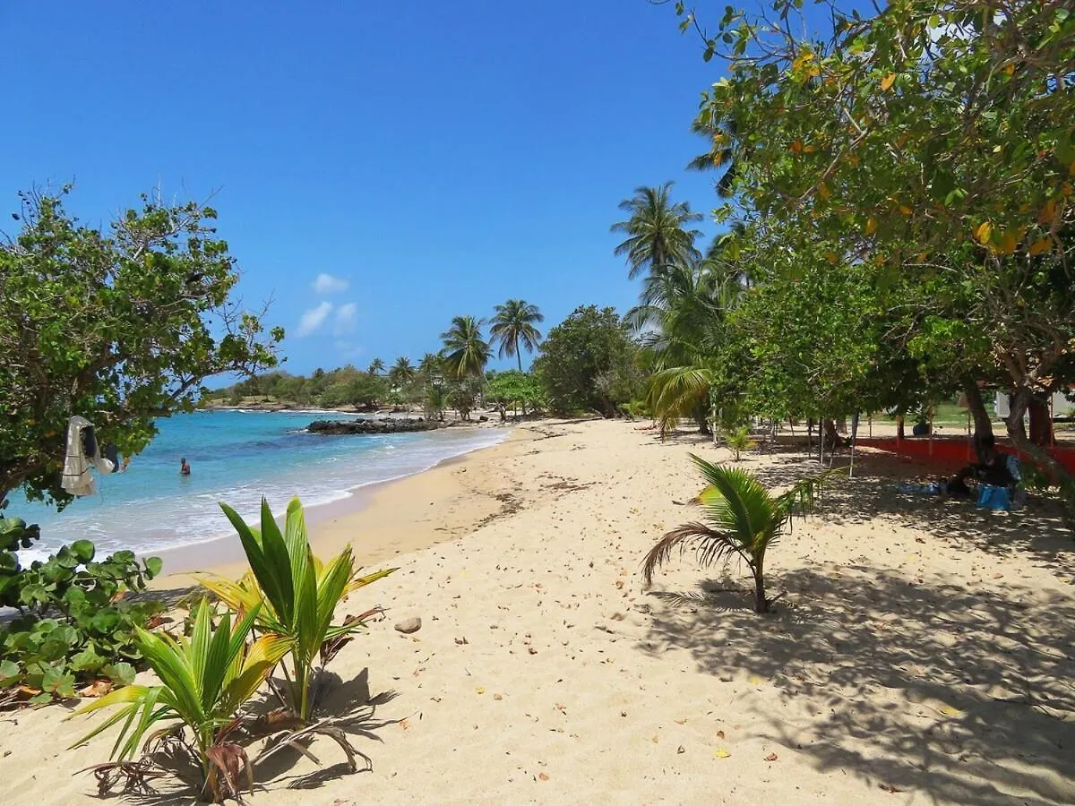 Villa 3 Chambres Proche Plage Sainte-Luce