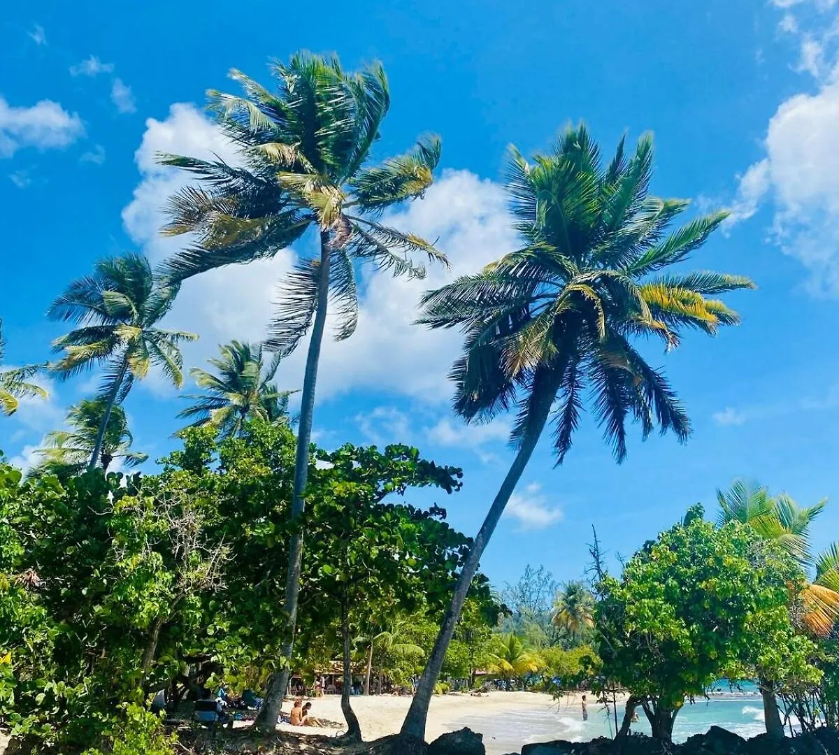 Villa 3 Chambres Proche Plage Sainte-Luce Martinique